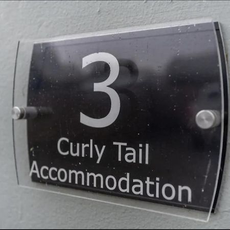Curly Tail Accommodation Bishop's Castle Εξωτερικό φωτογραφία